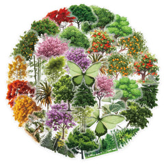 Forest Secret PET Stickers 50PCS Nature Scrapbook Decor Set