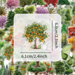 Forest Secret PET Stickers 50PCS Nature Scrapbook Decor Set