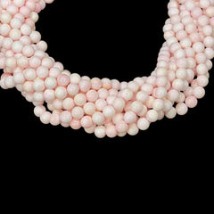 Queen Conch Shell A Grade Round 8mm